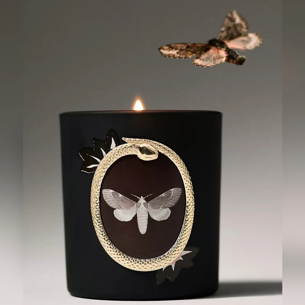 Anthropologie Catherine Martin Halloween Moth Woody Teakwood Rose Glass Candle